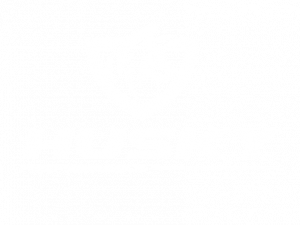 Husky logo by CSC Group Australia